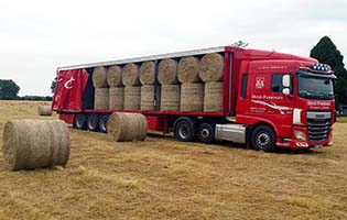 Farrissey Transport Image number 24