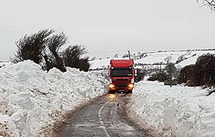 Farrissey Transport Image number 38