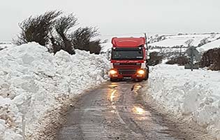 Farrissey Transport Image number 39